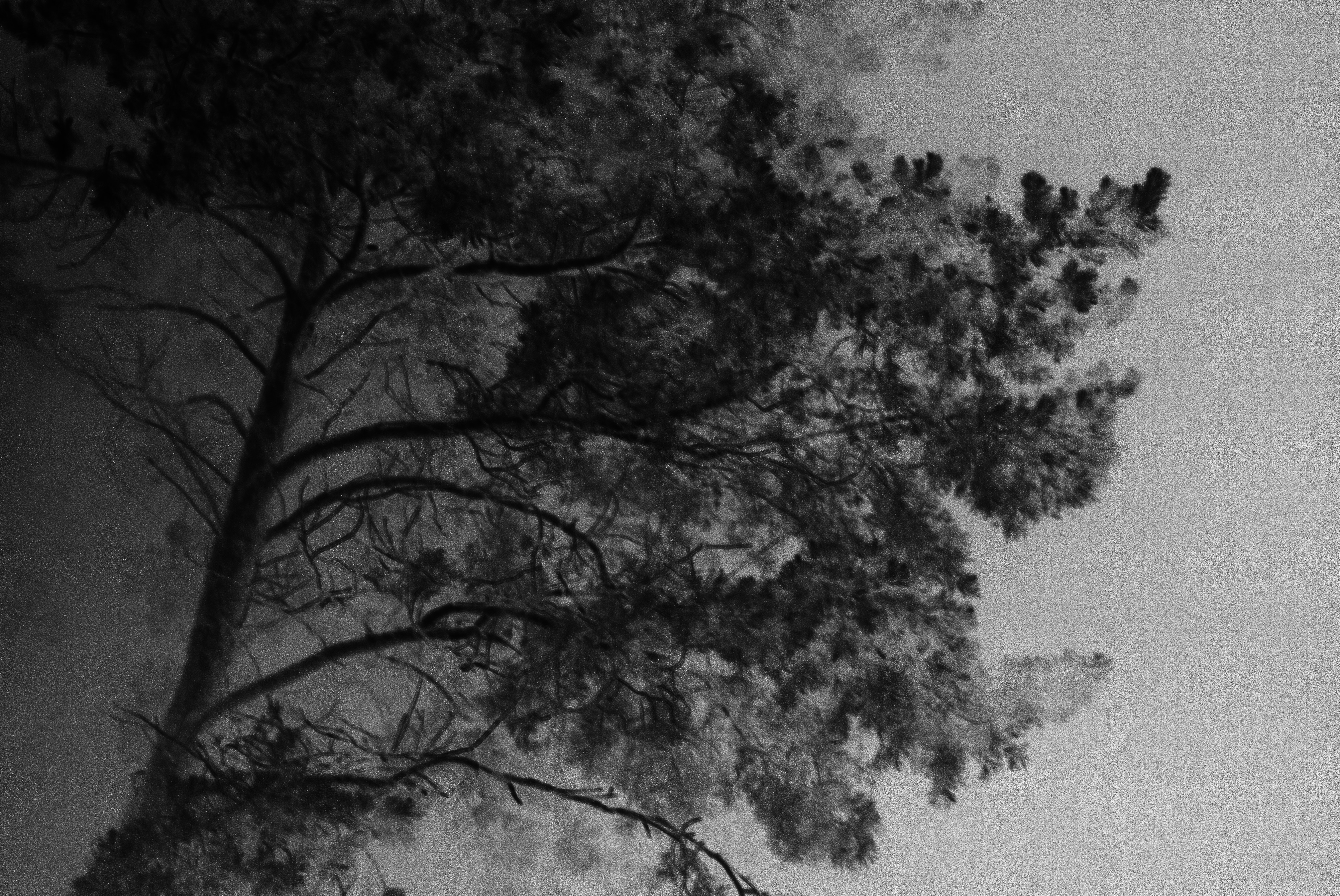 Feeling of emptiness